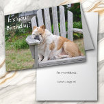 Funny Bulldog Birthday Kaart<br><div class="desc">Een dikke, slaperige bulldog dommelt in een oude houten tuinstoel op de voorkant van deze grappige verjaardagskaart. De witte tekst zegt: "Is het je verjaardag?" De binnenkant zegt "Ik ben overweldigd" en dan in kleinere cursief tekst, "Hoop dat het een gelukkige is!" Alle tekst, voor en binnen, is gemakkelijk aan...</div>