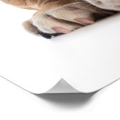 Funny Bulldog Fashion - Poster - srf (Hoek)