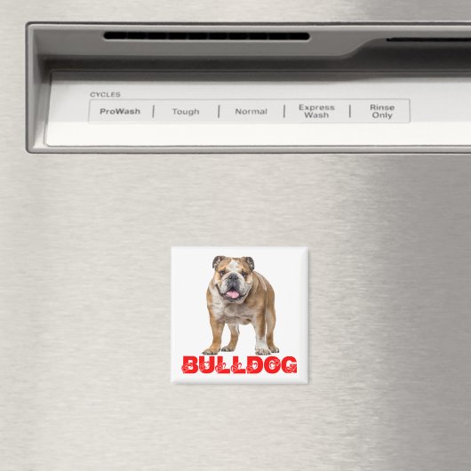 Funny Bulldog Lover Funny Bully Puppy Dog Magneet (Insitu (Vaatwasser))