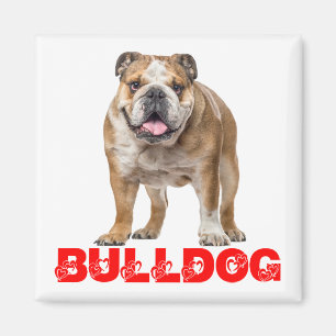 Funny Bulldog Lover Funny Bully Puppy Dog Magneet