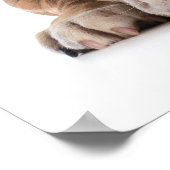 Funny Bulldog Mode - Poster - srf (Hoek)