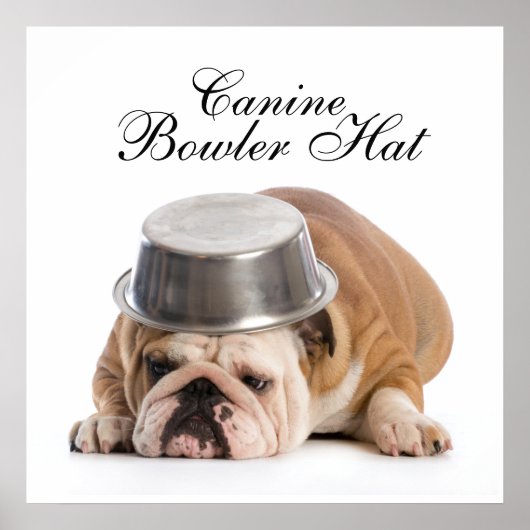 Funny Bulldog Mode - Poster - srf (Voorkant)