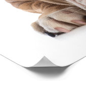 Funny Bulldog - Poster - srf (Hoek)