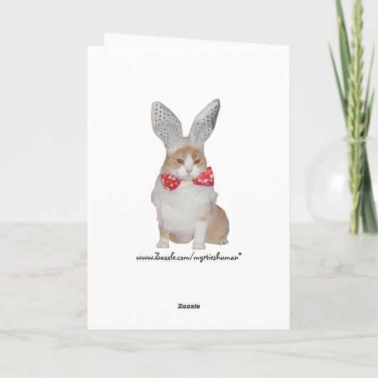 Funny Bunny Cat Valentijn Feestdagen Kaart (Achterkant)