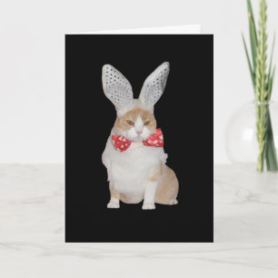 Funny Bunny Cat Valentijn Feestdagen Kaart