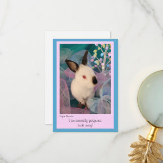 Funny Bunny Flat Greeting Card w/ Envelope Bedankkaart