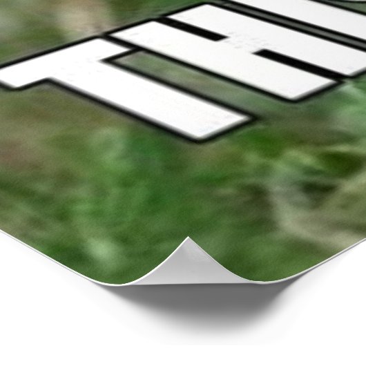 Funny Bunny Poster (Hoek)