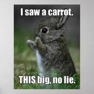 Funny Bunny Poster