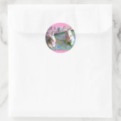 Funny Bunny Stickers (Tas)