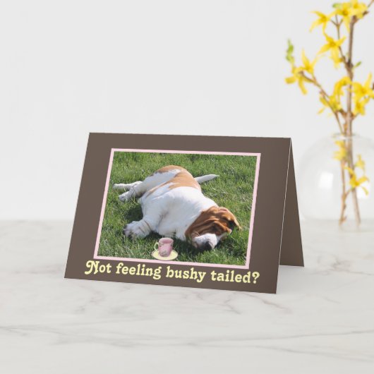 Funny Bushy Taily "Get Well"-kaart met Basset Houn Kaart (Gele Bloem)