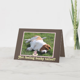 Funny Bushy Taily "Get Well"-kaart met Basset Houn Kaart
