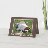 Funny Bushy Taily "Get Well"-kaart met Basset Houn Kaart (Voorkant)