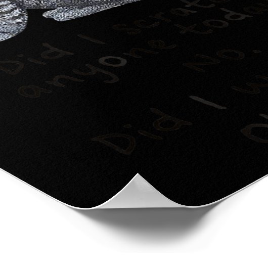 Funny Ca_ Sarcastic Cat Did I Scratched Anyone Tod Poster (Hoek)