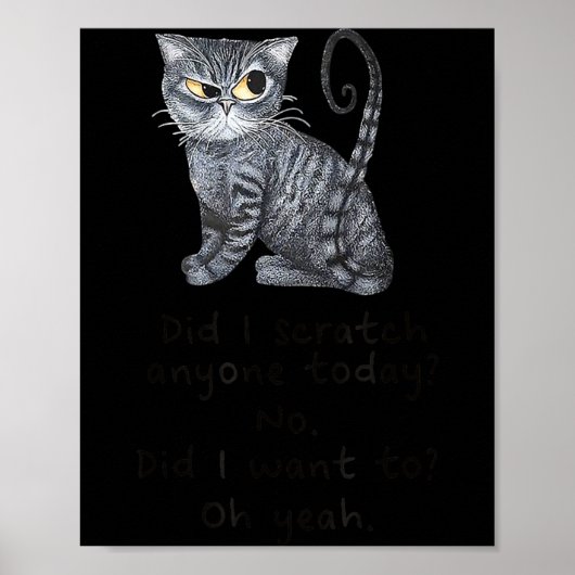Funny Ca_ Sarcastic Cat Did I Scratched Anyone Tod Poster (Voorkant)