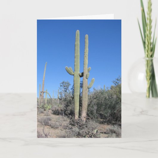 Funny Cactus Jubileum Card Kaart (Voorkant)