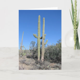 Funny Cactus Jubileum Card Kaart