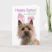 Funny Cairn Terrier Easter Kaart (Voorkant)