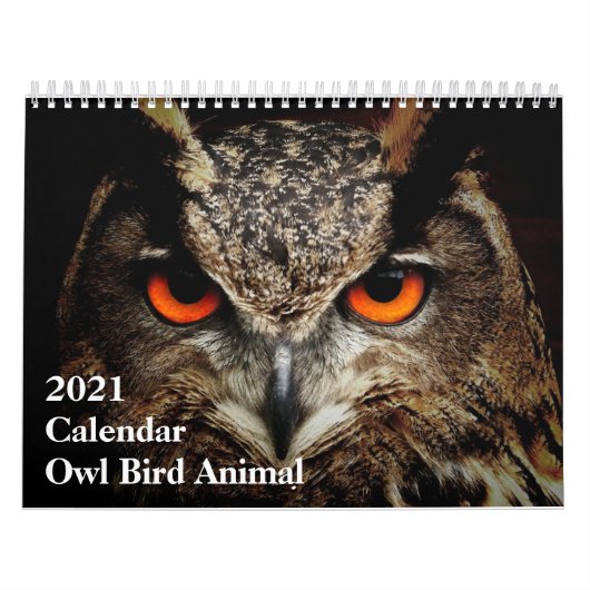Funny Calendar: Owl Bird Animal Kalender (Hoes)