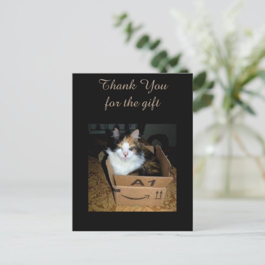 Funny Calico Cat in Box Dank je Briefkaart (Staand voorkant)