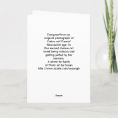 Funny Calico Cat Wenskaart Kaart (Achterkant)