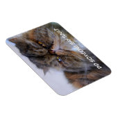 Funny Calico Persian Cat Premium Magnet Magneet (Rechterzijde)