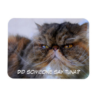 Funny Calico Persian Cat Premium Magnet Magneet
