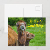 Funny Camel Animal Briefkaart (Voorkant / Achterkant)