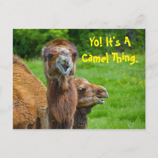 Funny Camel Animal Briefkaart
