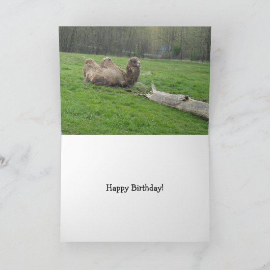 Funny Camel Birthday Kaart (Binnen)
