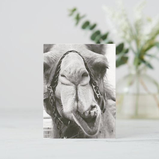 Funny Camel Briefkaart (Staand voorkant)