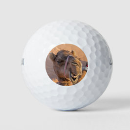 Funny Camel Classic Golfballen