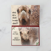 Funny Camel Hump Day Christmas Kaart (Binnen)