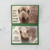 Funny Camel Hump Day Christmas Kaart (groen) (Binnen)