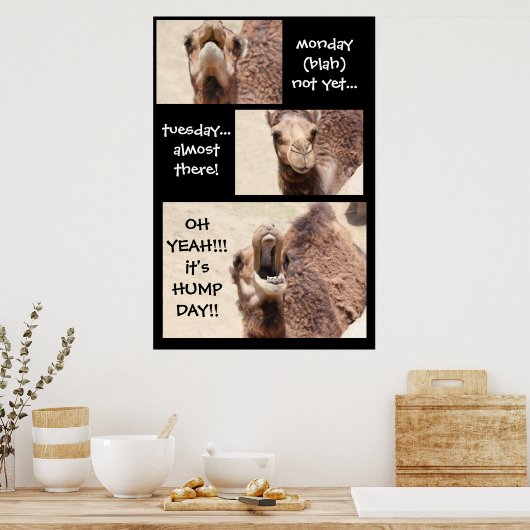 Funny Camel Hump Day COUNTDOWN Poster (24x36) (Keuken)
