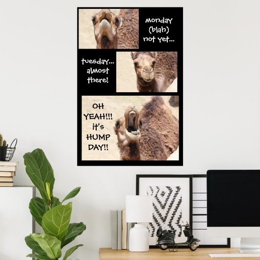 Funny Camel Hump Day COUNTDOWN Poster (24x36) (Thuiskantoor)