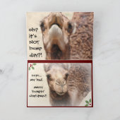 Funny Camel Hump Day kerstkaart (2) Feestdagen Kaart (Binnen)