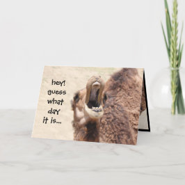 Funny Camel Hump Day Retirement Kaart
