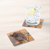 Funny Camel Kartonnen Onderzetters (Insitu)