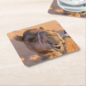 Funny Camel Kartonnen Onderzetters (Schuin)