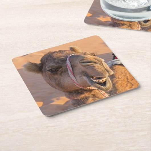 Funny Camel Kartonnen Onderzetters (Schuin)