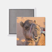 Funny Camel Magneet (Voorkant / Achterkant)