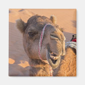 Funny Camel Magneet (Voorkant)
