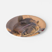 Funny Camel Papieren Bordje (Gekanteld)