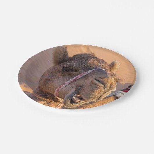 Funny Camel Papieren Bordje (Gekanteld)