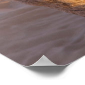 Funny Camel Poster (Hoek)