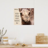 Funny Camel Poster houdt kalm en kamel aan (zweet! (Keuken)