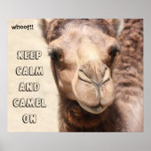 Funny Camel Poster houdt kalm en kamel aan (zweet! (Voorkant)