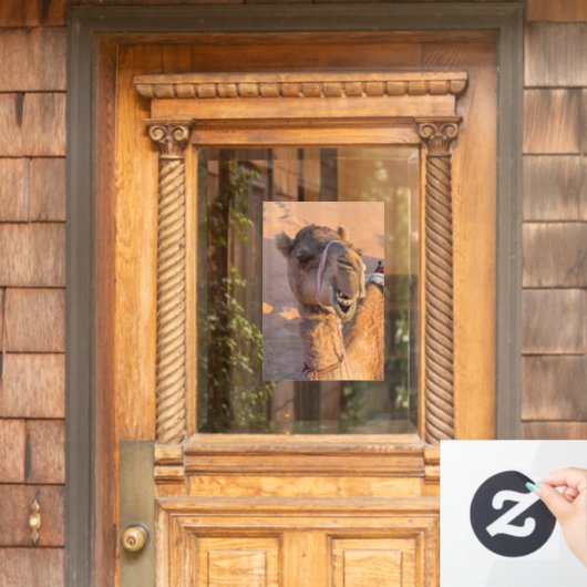 Funny Camel Raamsticker (Huis Deur)