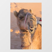 Funny Camel Raamsticker (Vel)