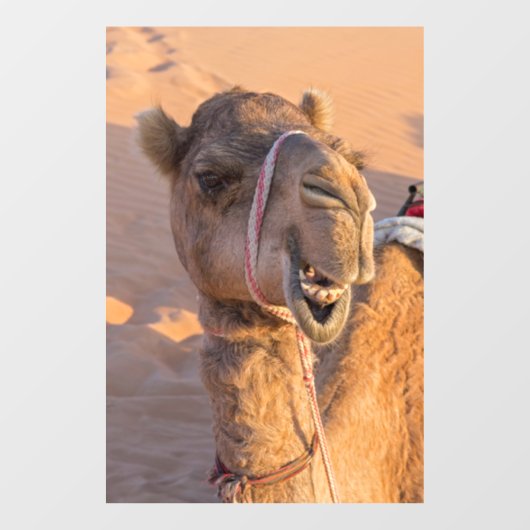 Funny Camel Raamsticker (Vel)